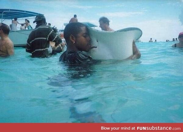 When you lose your stingray, but then you find it again