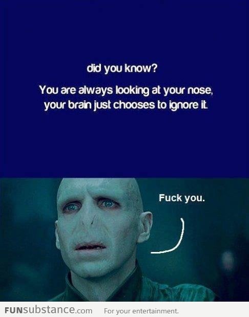 Trolling voldemort