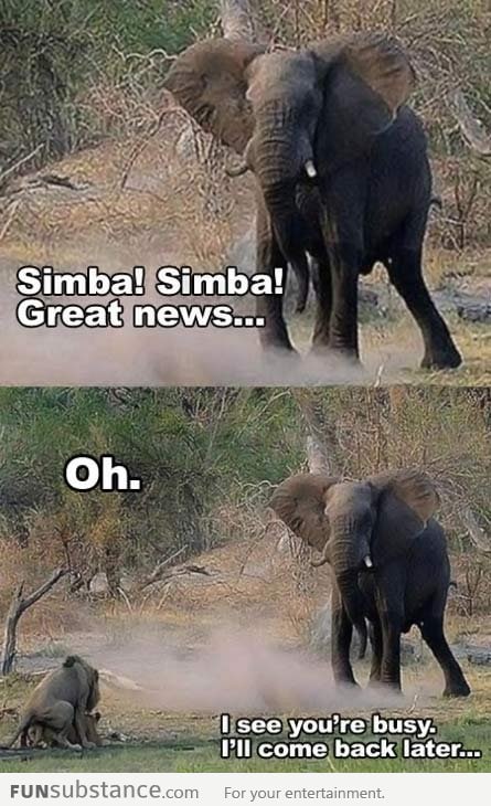 Hey Simba! Oh ok then...