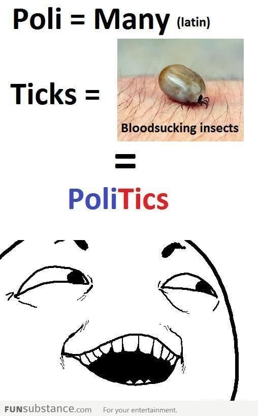 Poli-Ticks