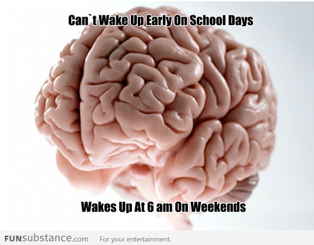 Scumbag body clock