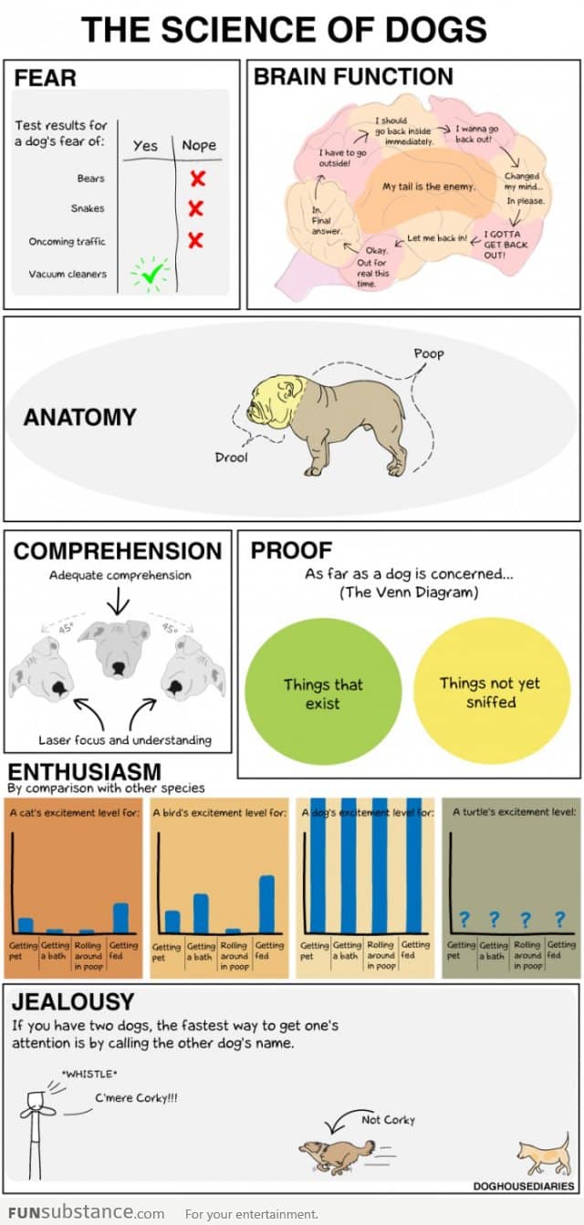 Science of DOGS