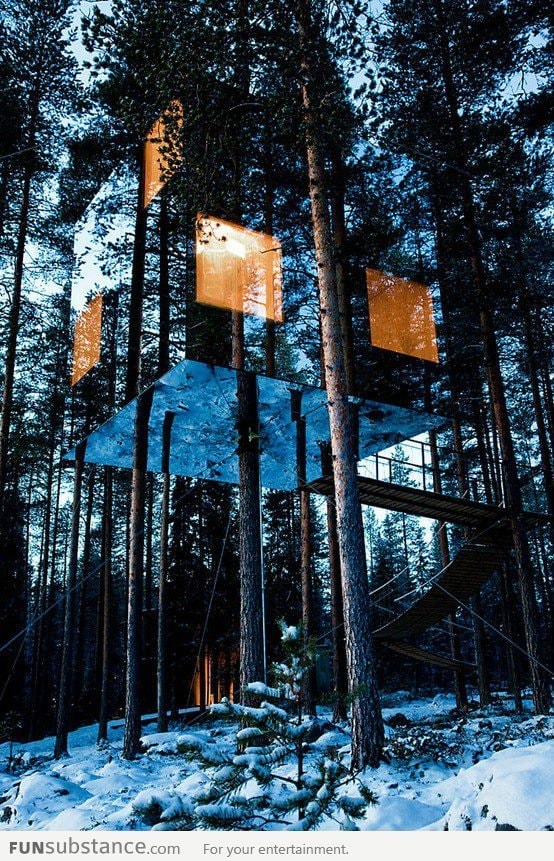 Tree hotel in North Sweden