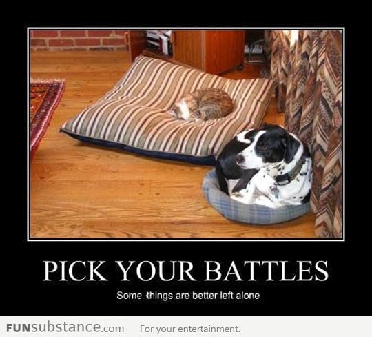 Pick your battles