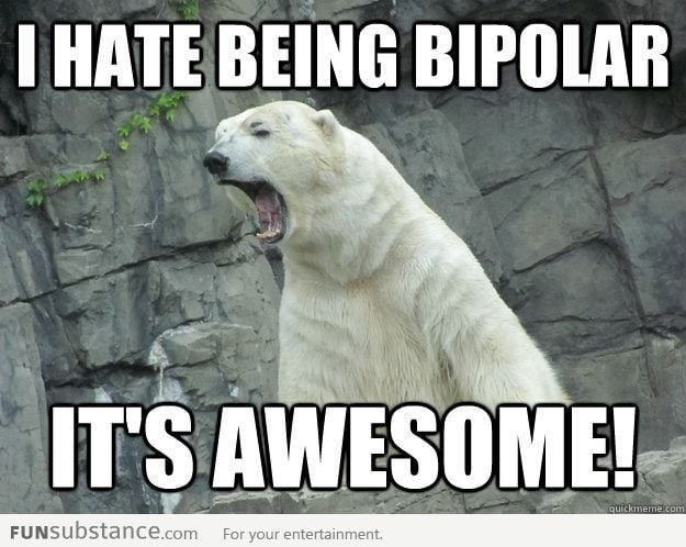 Bipolar Bear