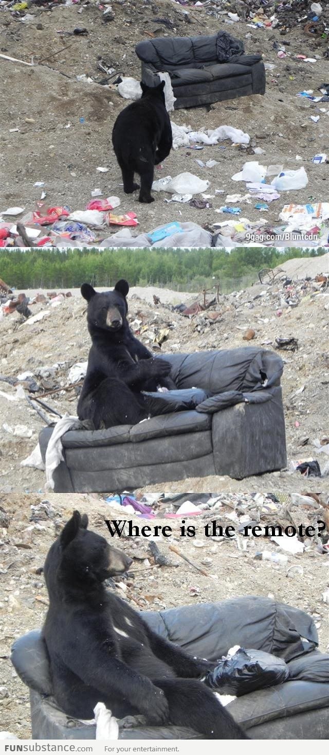 Where's the damn remote?