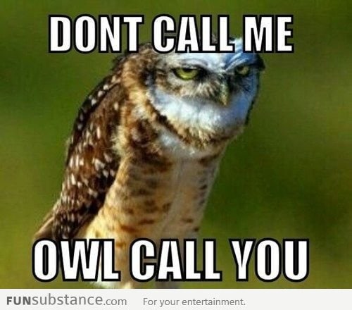 Owl call you