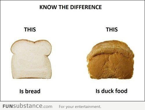 Bread Differences