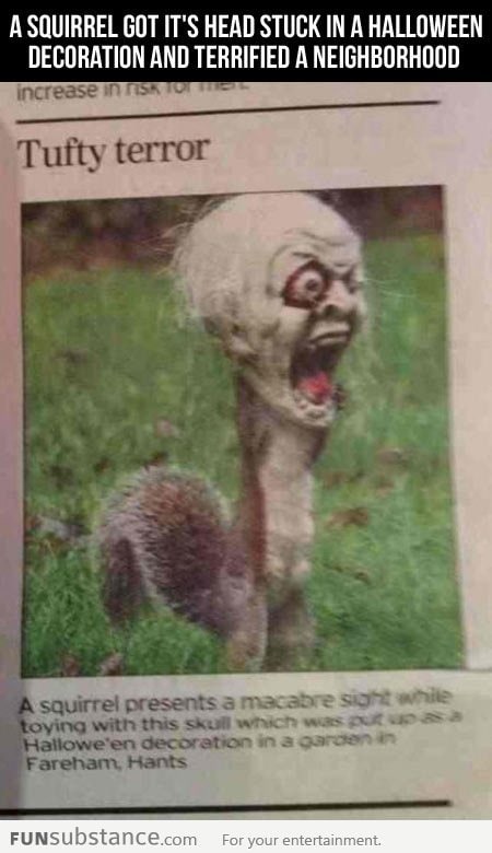 Scary Squirrel