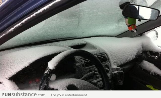 When you leave your car window open in Norway