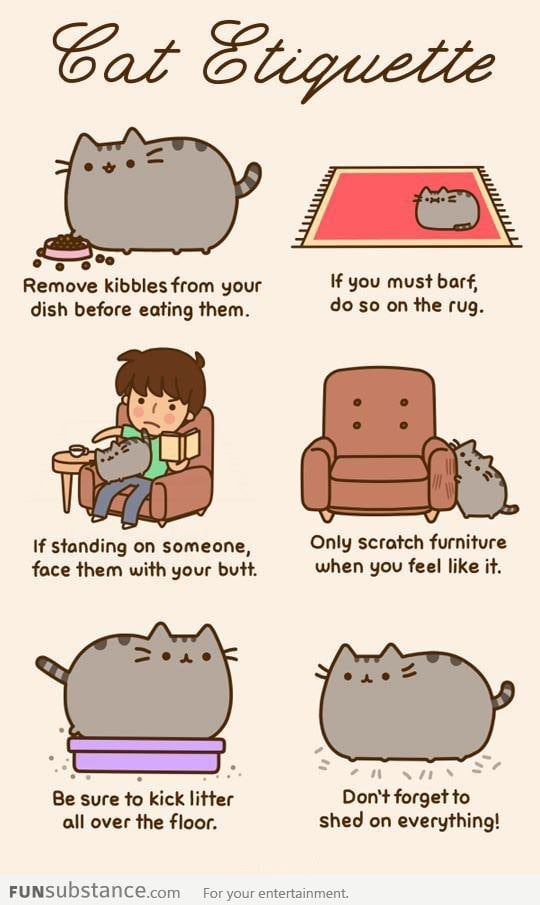 The Cats' Secrets