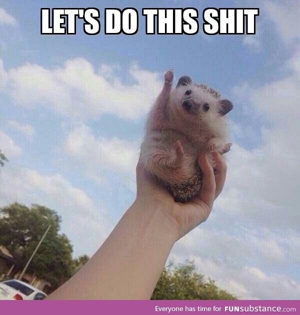 Let the enthusiastic hedgehog motivate you to be productive