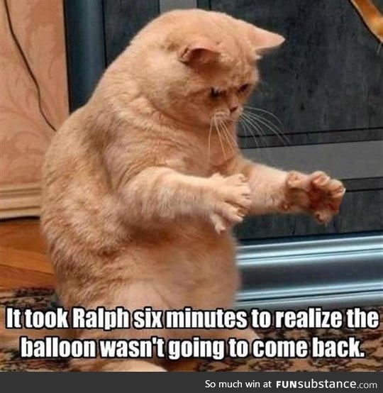 Poor ralph, he was disappointed