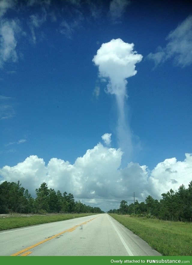 Tiny raincloud. About to ruin a single person's day.