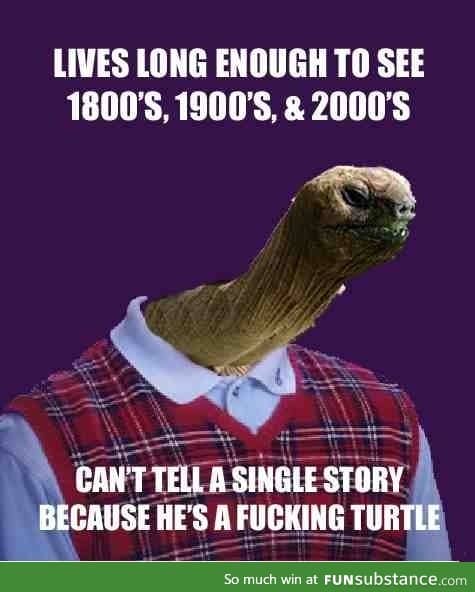 Bad luck tortise