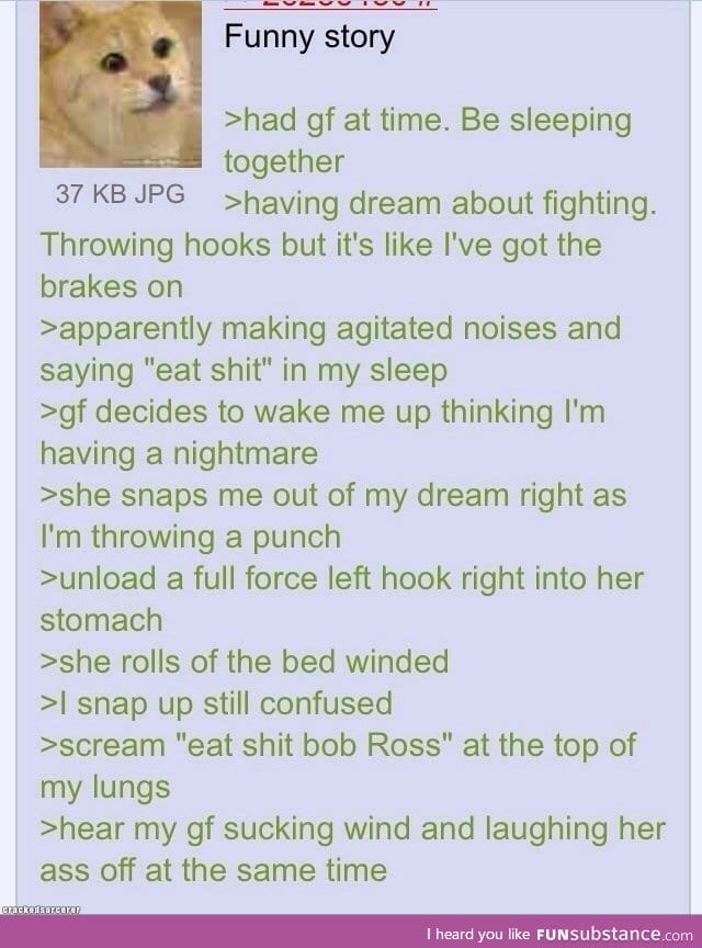 Eat shit Bob Ross