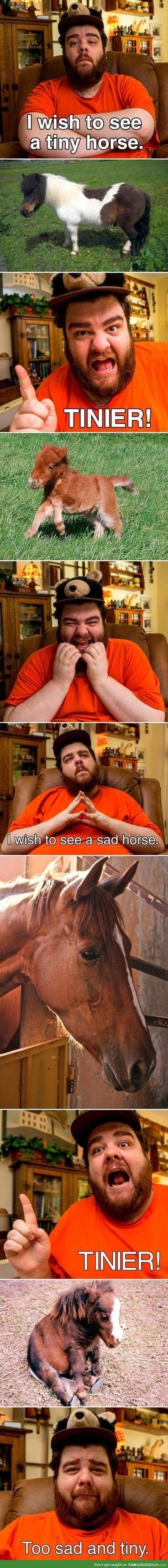 Sad and tiny horse