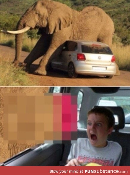 Holy mother of God, that's an elephants d*ck