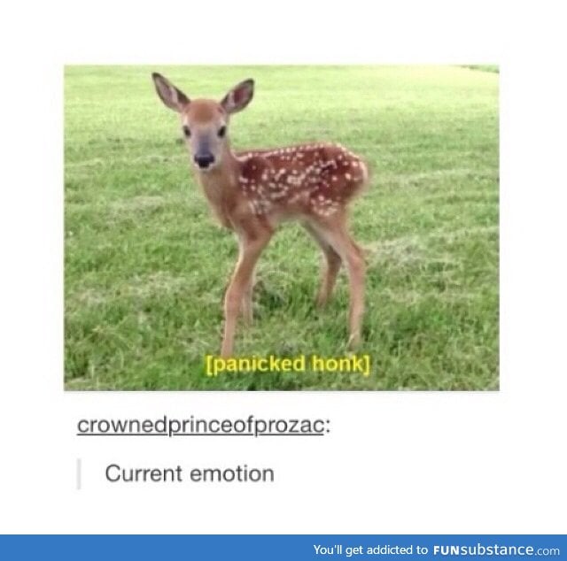 Oh deer... - FunSubstance