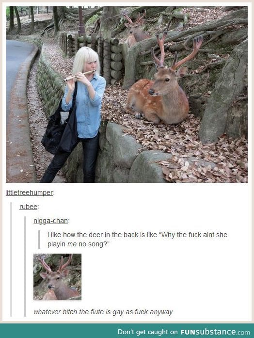 Grumpy deer