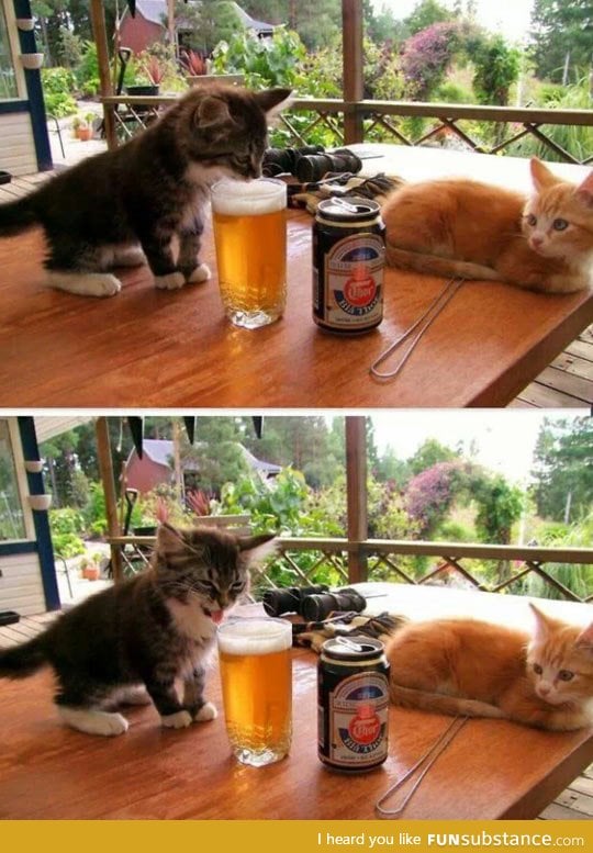 Human, you drink this stuff?