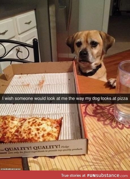 Dog, pizza, love