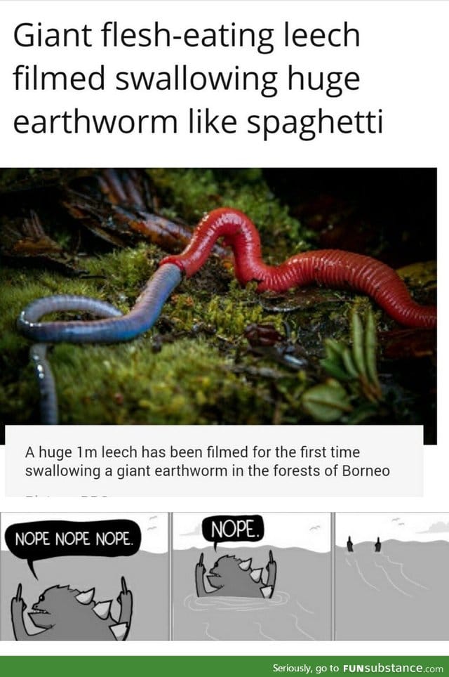 Worm eating worm