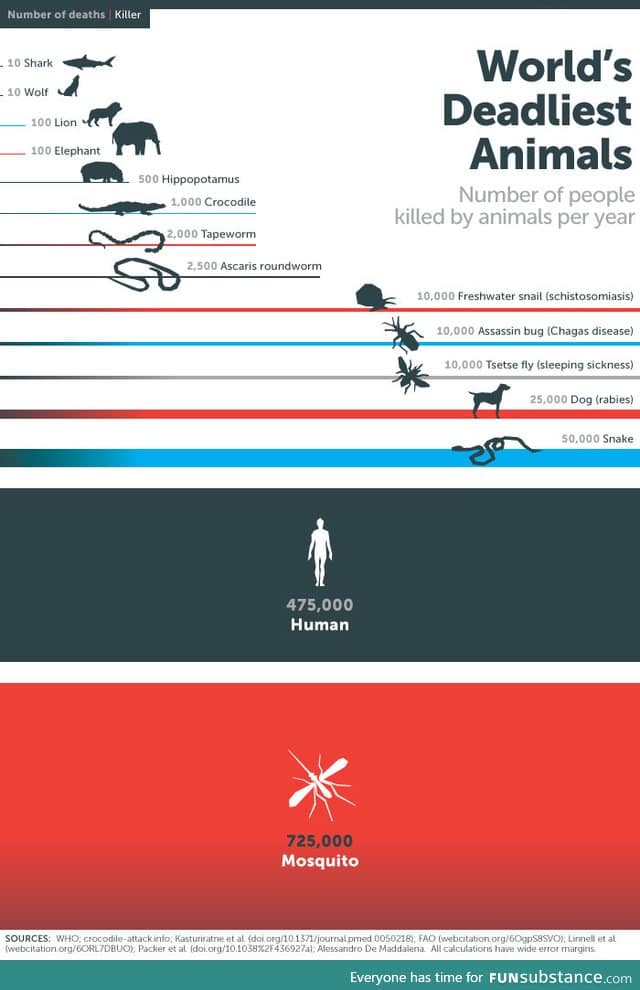 World's deadliest animals