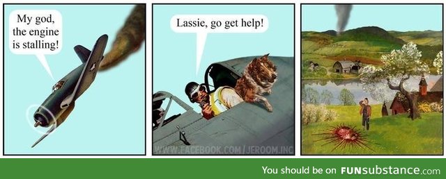 Go Lassie, go!