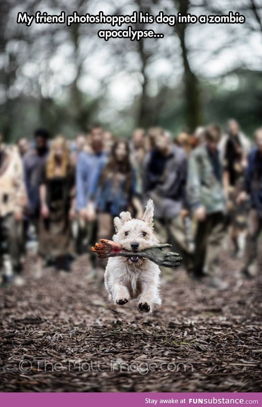 The barking dead