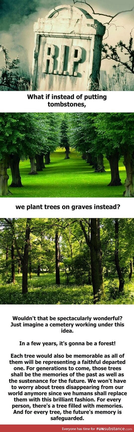 I want a tree!