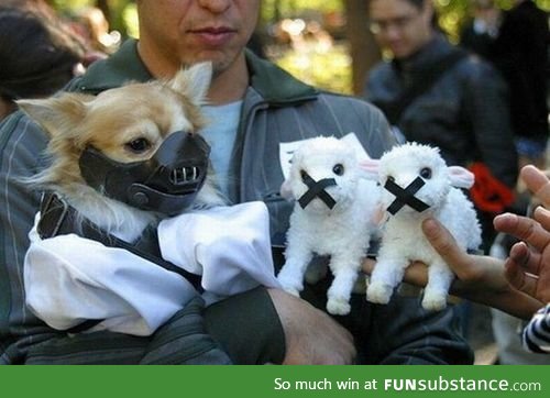 Silence of the Lambs: The cute version