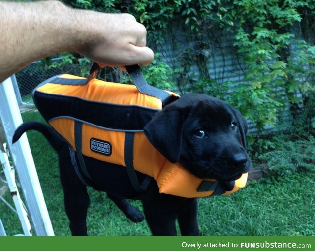 I almost forgot my briefcase! It has important lab results