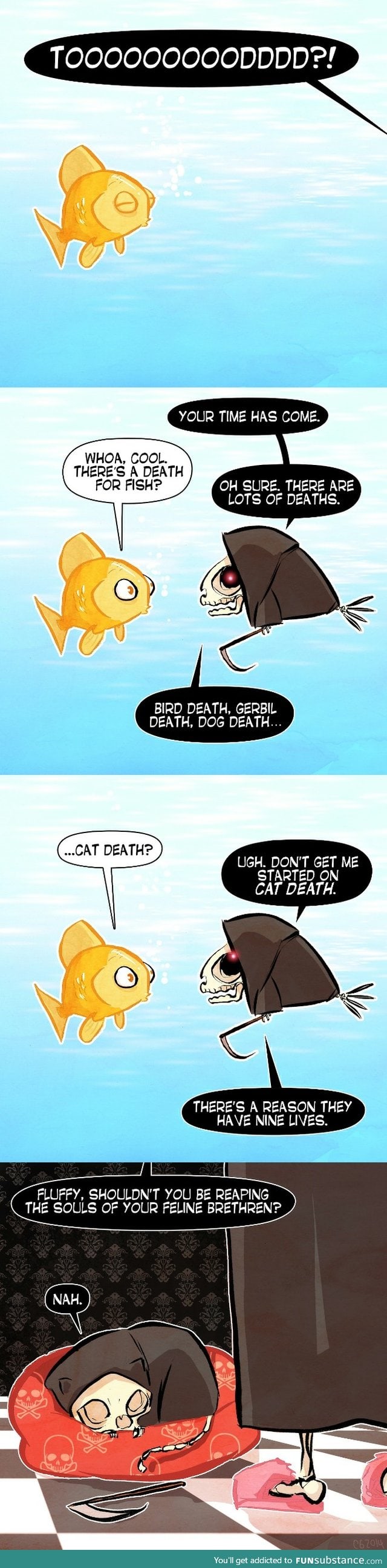 Why  cats have nine lives...