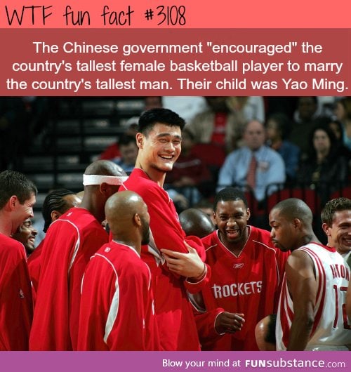 How Yao Ming was created