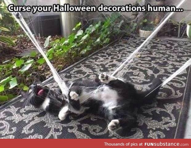 Halloween decorations