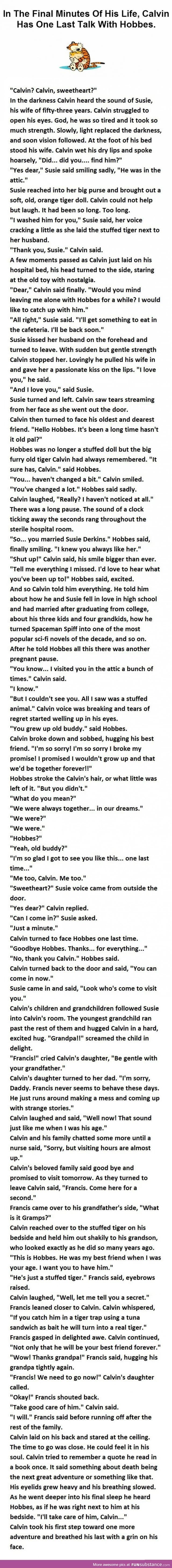 Calvin and Hobbes...It's Beautiful