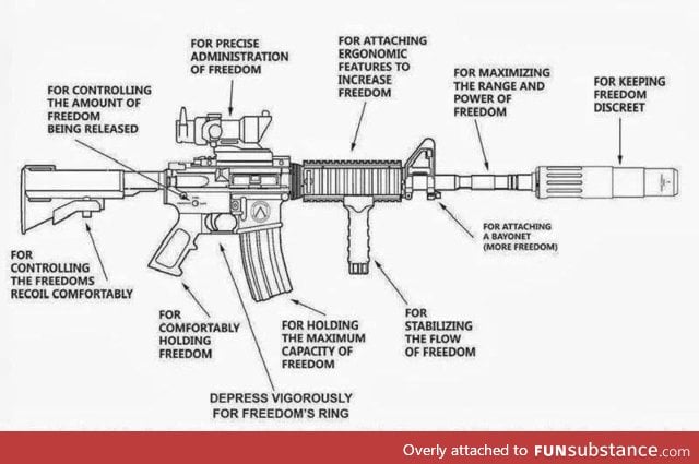 The Anatomy of Freedom
