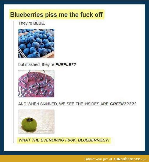 Blueberries magic