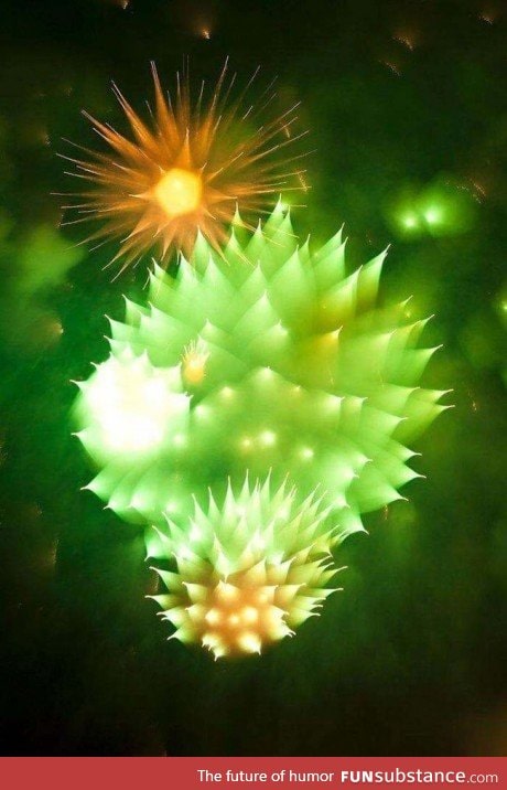 A camera that refocused while taking a pic of fireworks