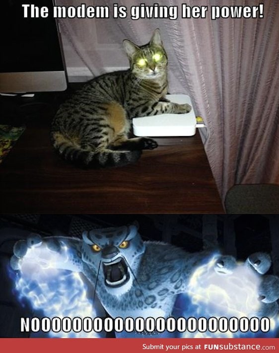 This is why you don't take a photo of your cat with the flash on...