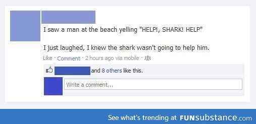 Saw a shark at the beach…