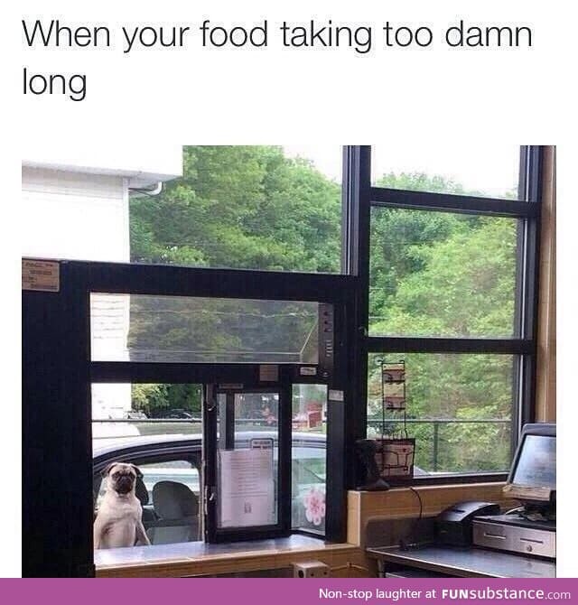 Where's my food?!