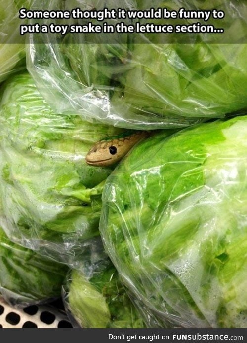 You picked the wrong lettuce!