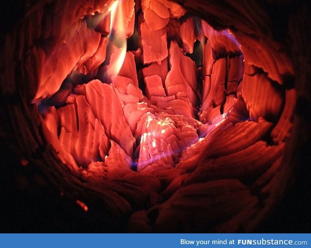 The Inside of a burning log