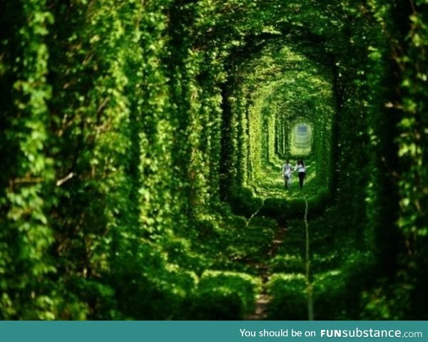 Abandoned subway "Tunnel of Love", Ukraine