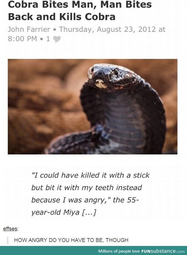Man bites cobra