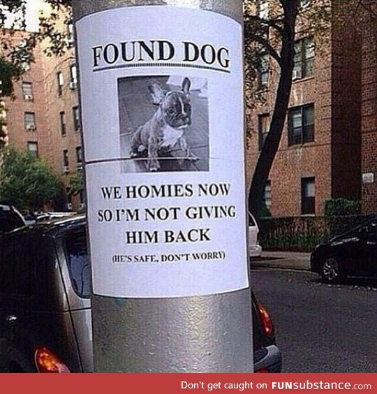 Found your dog