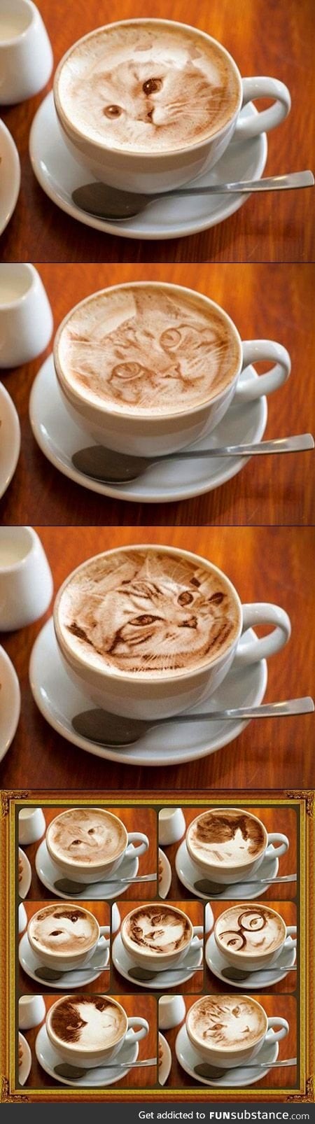 Cats always be getting into my latte...