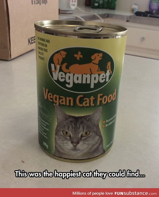 What cats think of vegan food